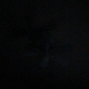 Meet your Posher, ZoÃ«